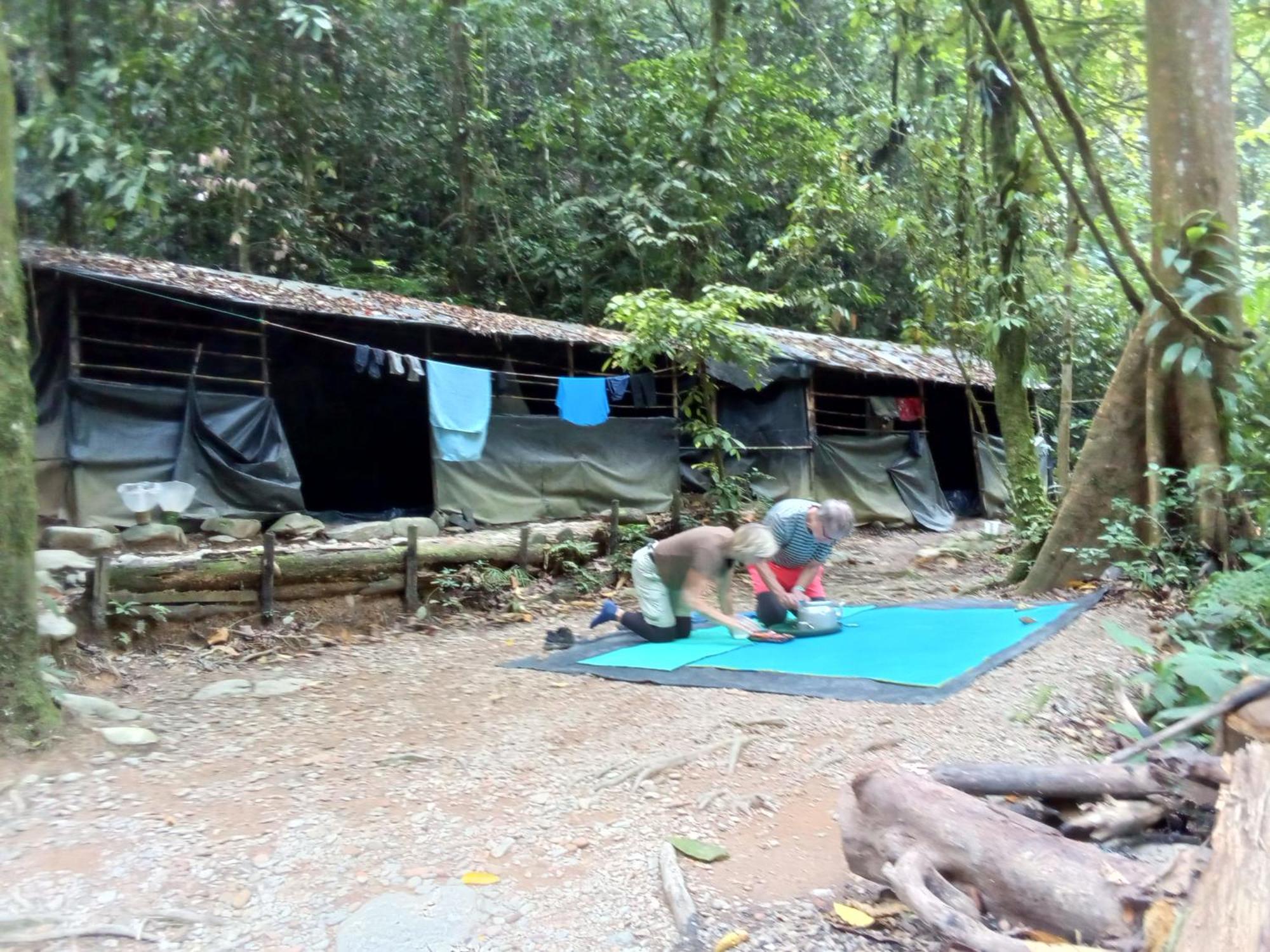 Jungle Treking & Jungle Tour If You Want To Stay Here,You Must Book Treking Only With Us 부킷 라왕 외부 사진