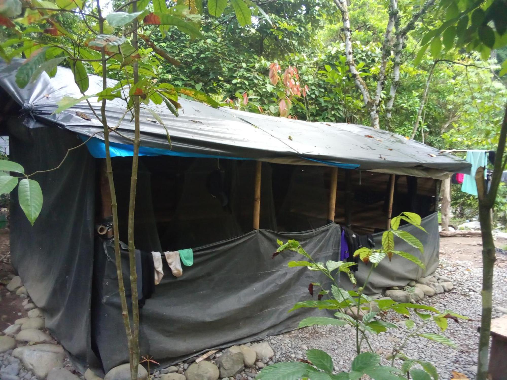 Jungle Treking & Jungle Tour If You Want To Stay Here,You Must Book Treking Only With Us 부킷 라왕 외부 사진