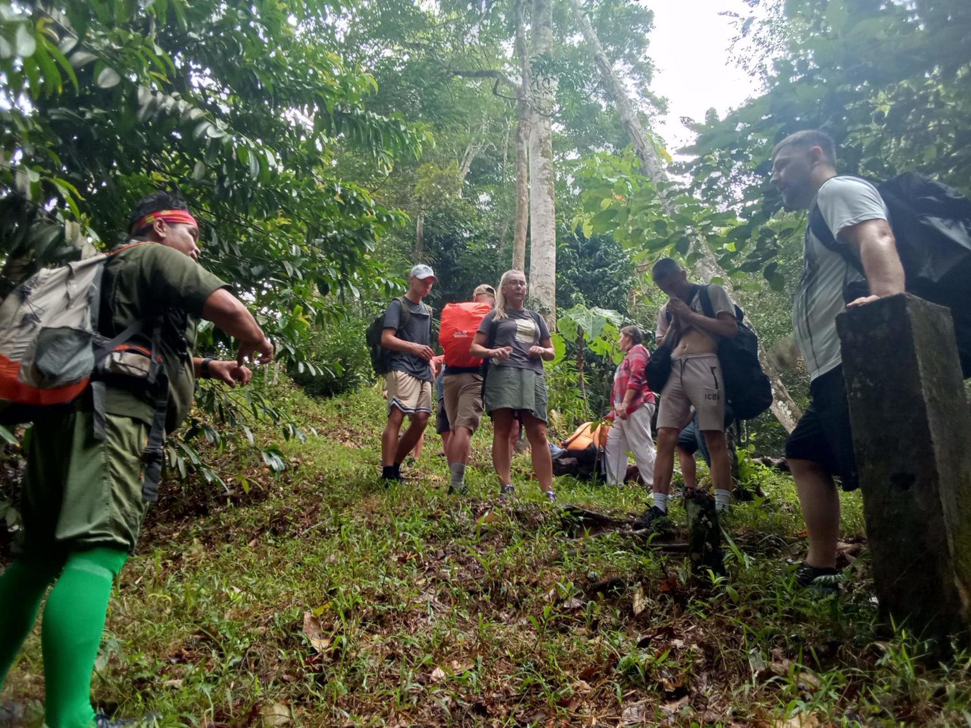 Jungle Treking & Jungle Tour If You Want To Stay Here,You Must Book Treking Only With Us 부킷 라왕 외부 사진