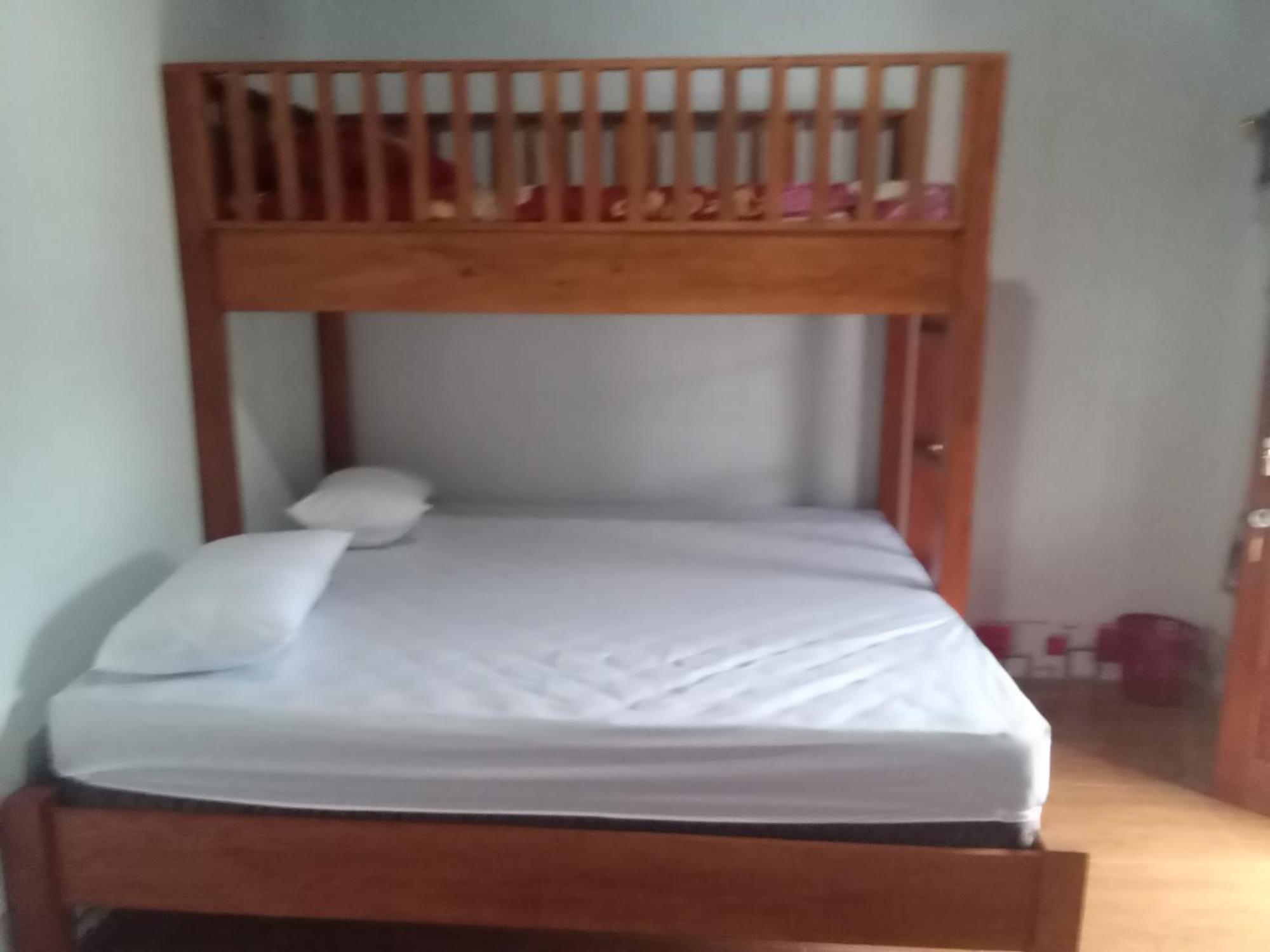 Jungle Treking & Jungle Tour If You Want To Stay Here,You Must Book Treking Only With Us 부킷 라왕 외부 사진